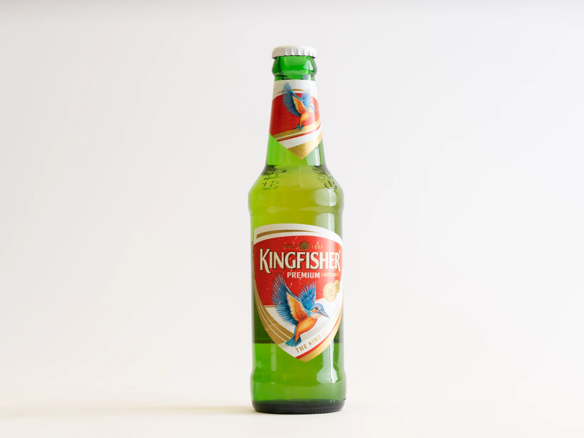 Kingfisher_4-3